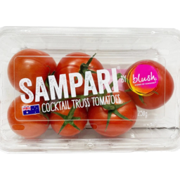 Photo of Tomatoes Sampari Punnet