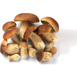 Photo of Natur Bosco Porcini Mushrooms 15gm