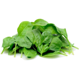 Photo of Spinach Baby Leaves