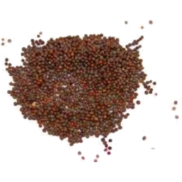 Photo of Mos Mustard Brown Seeds
