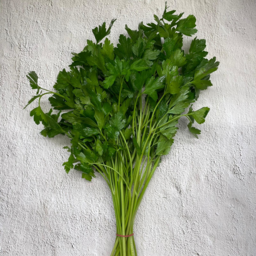 Photo of Continental Parsley Bunch
