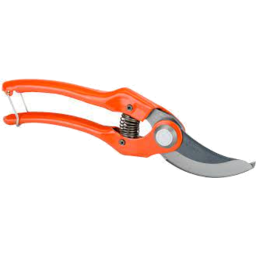 Photo of Jackh Bypass Secateurs
