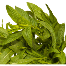 Photo of Herbs - Mint