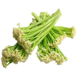 Photo of Caulini Cauliflower Sprout
