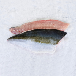 Photo of Yellowtail Kingfish Fillets