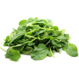 Photo of Yorktown - Baby Spinach