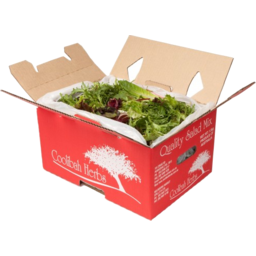 Photo of Salad Mix Box