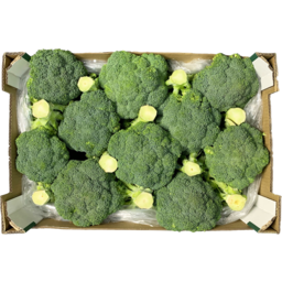 Photo of Broccoli Bulk 8 Kg