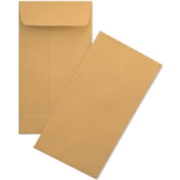 Photo of Pay Envelope 4in X 6in 