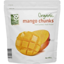 Photo of Viking Mango Chunks Organic 400g