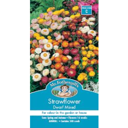 Photo of Mr Fothergills Seeds Strawflower Dwarf Mixed
