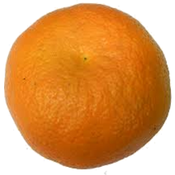 Photo of Oranges Seville Kg