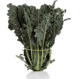 Photo of Kale - Green Russian