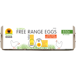 Photo of Eggs Jumbo Free Range Dozen