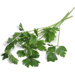 Photo of Org Herbs Parsley Flat Italian Bunch