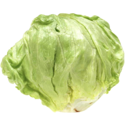 Photo of Iceberg Lettuce - Each