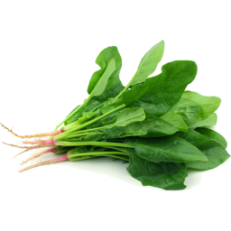Photo of Spinach Bunch