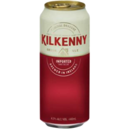 Photo of Kilkenny Irish Ale Can