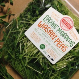 Photo of Organic Microgreens - Wasabi Sprouts