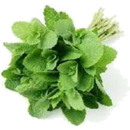 Photo of Round Mint Herbs