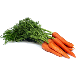 Photo of Carrots Dutch Bunch Each