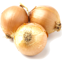 Photo of Onion - Brown