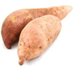Photo of Sweet Potato Gold Medium Organic