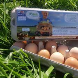 Photo of Oxhill Organic Eggs 6pk 350gm