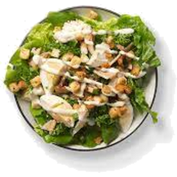 Photo of Leafy Chicken Caesar Salad