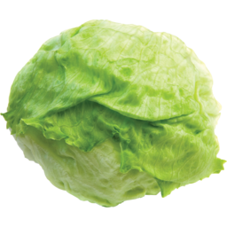 Photo of Lettuce Iceberg Wrapped 