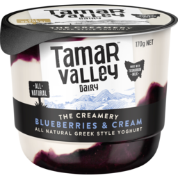 Photo of Tamar Valley Dairy Blueberries & Cream Yoghurt 170gm