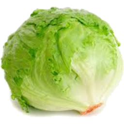 Photo of Lettuce Ea