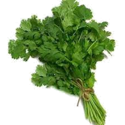 Photo of Market Bunch Continental Parsley