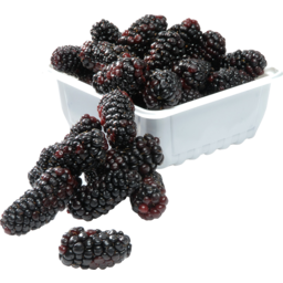 Photo of Blackberries Punnet 125g