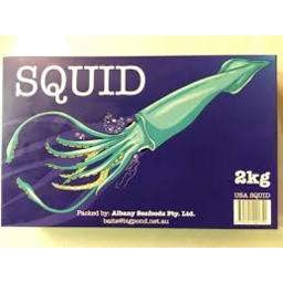 Photo of Wa Bait Supply Squid Usa