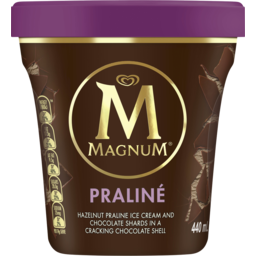 Photo of Magnum Tub Ice Cream Hazelnut Praline