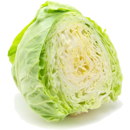 Photo of Cabbage - Green Half
