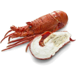 Photo of WA Crayfish Cooked Frozen Ea