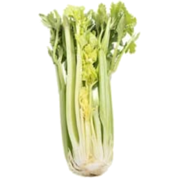 Photo of Celery Bunch Half