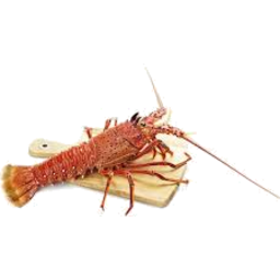 Photo of Frozen Raw W.A Crayfish 1ea