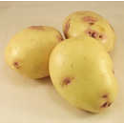 Photo of Potatoes LARGE - EACH (for baked potato) per kg *weighed