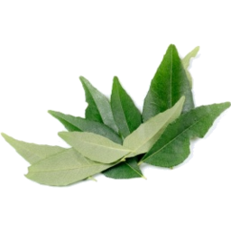 Photo of Curry Leaves Sleeve Hills Trans