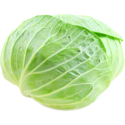 Photo of Cabbage Green Organic