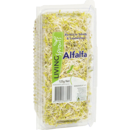 Photo of Alfalfa Sprout Punnet 125g