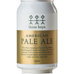 Photo of Three Boys American Pale Ale 330ml