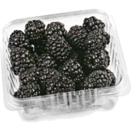 Photo of Blackberries Punnet 125gm