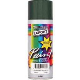Photo of Spray Paint Export Br.Green