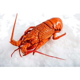 Photo of Lobster - Cooked & Frozen