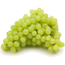 Photo of Grapes White Kg