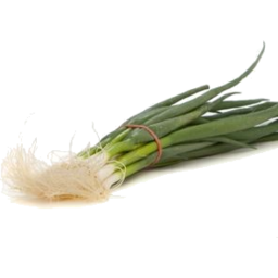 Photo of Organic Spring Onion Bunch Ea